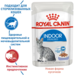 Royal Canin Indoor Sterilised кусочки паштета в желе для взрослых кошек, постоянно живущих в помещении – интернет-магазин Ле’Муррр
