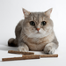Matatabi Sticks Палочки для кошек – интернет-магазин Ле’Муррр
