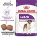 Royal Canin Giant Adult Сухой корм для взрослых собак гигантских пород – интернет-магазин Ле’Муррр